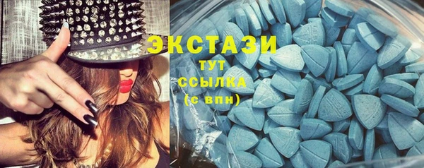 сатива Няндома