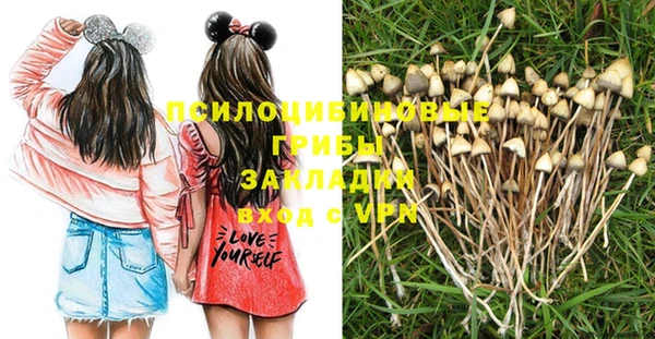 героин Алексин
